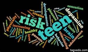 Teen Behavior Risk Blog #1