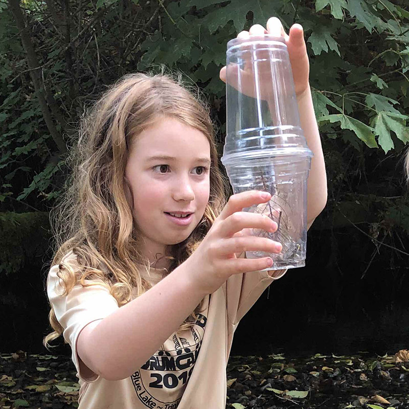 A girl observing bugs