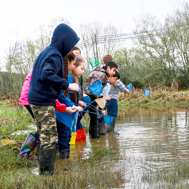 Students in a creek