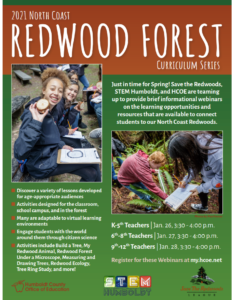 Redwood Forest Webinar