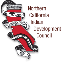 Logo for NCIDC