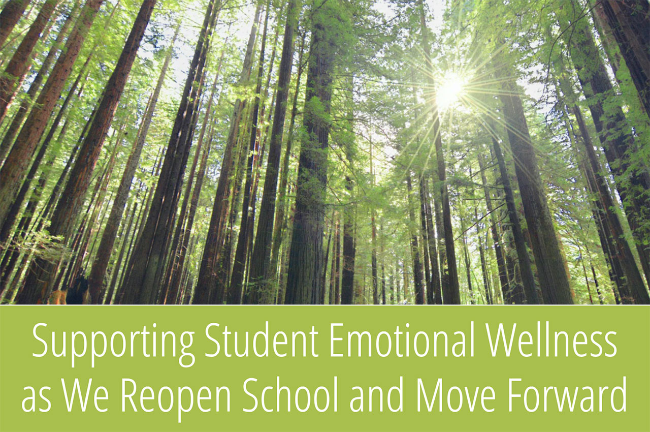 Graphic for Supporting Student Wellness Training