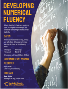 Developing Numerical Fluency 