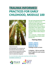 Trauma Informed Practices for Early Childhood